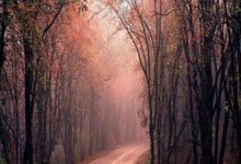 开云官网-蒙特雷队长发声，誓夺世俱杯冠军荣耀