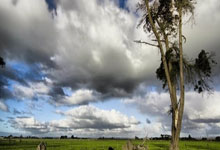 开云APP-巴基斯坦代表团郑重参赛积极对抗——展现体育精神与国家荣耀