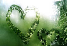 开云体育入口-波特兰双枪闪耀：撕裂之城的希望之光