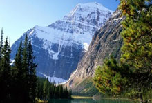 开云平台-卡尔蒂斯主场迎战西悉尼流浪者，锋线火力引爆看点