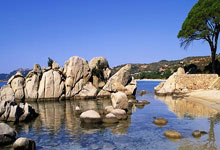 开云体育入口-波特兰双枪闪耀：撕裂之城的希望之光