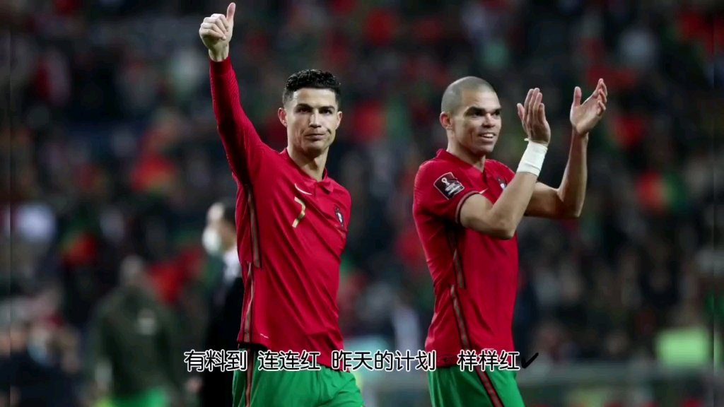 开云下载-斯洛伐克队在欧预赛中取得胜利晋级