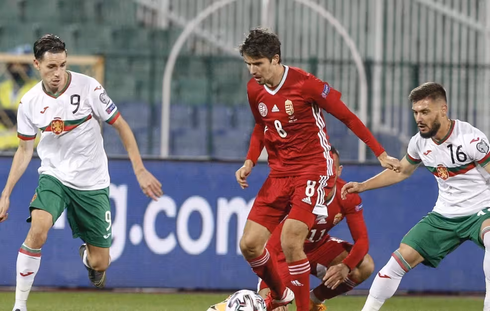 关于法国客场击败保加利亚,锁定欧预赛强席位的信息 关于法国客场击败保加利亚,锁定欧预赛强席位的信息