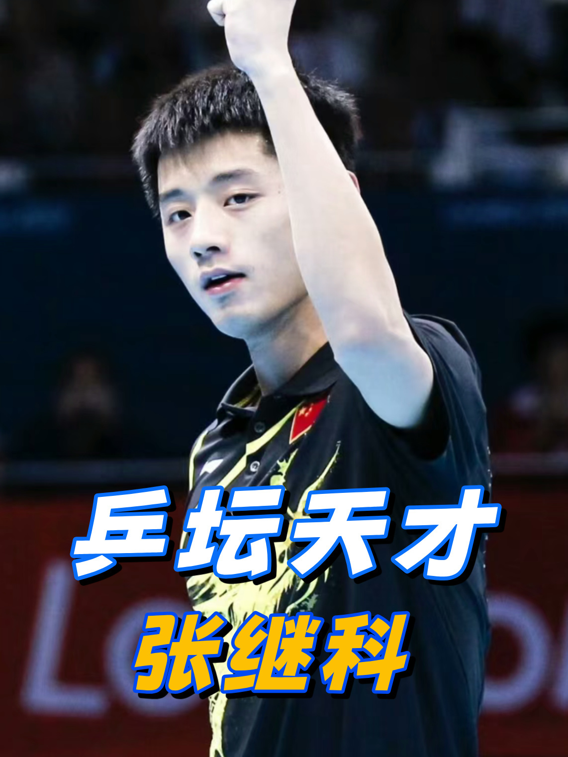 开云体育APP下载-比利时乒乓球队碾压中国乒乓球队，张继科高光表现的简单介绍