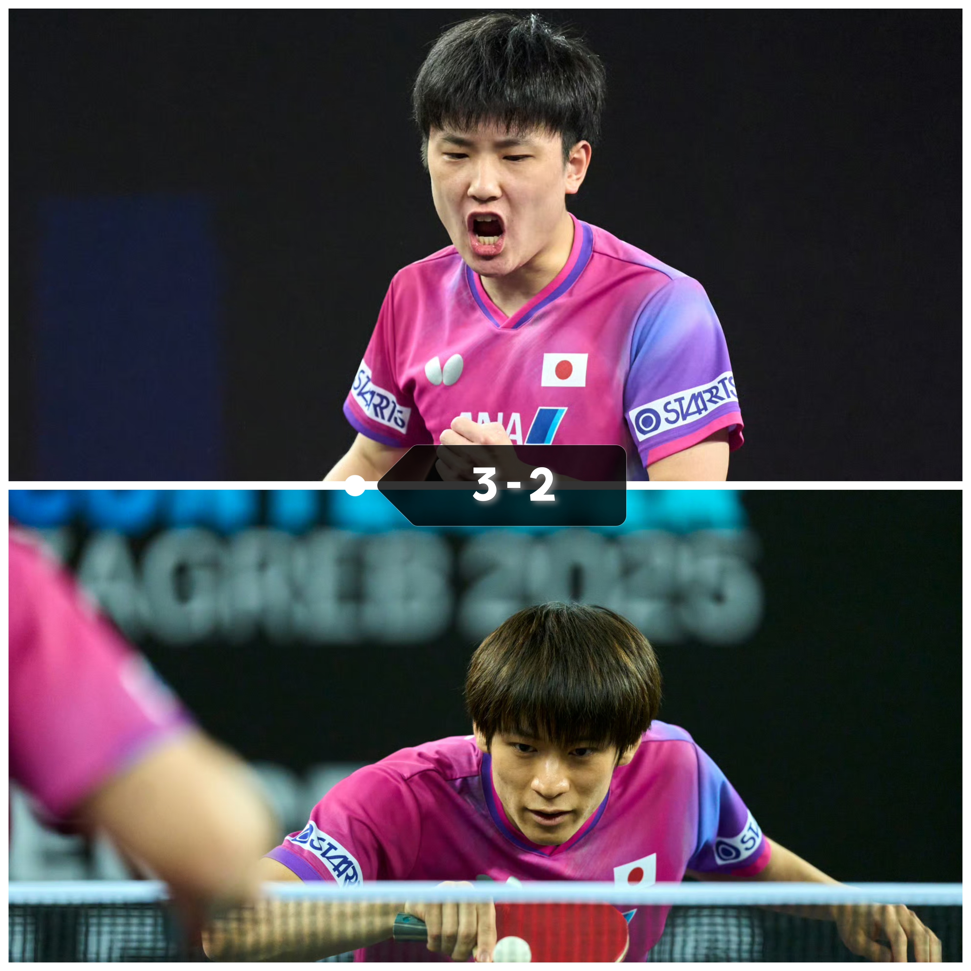 开云体育APP下载-英格兰队轻取日本队，张本智和刷新纪录