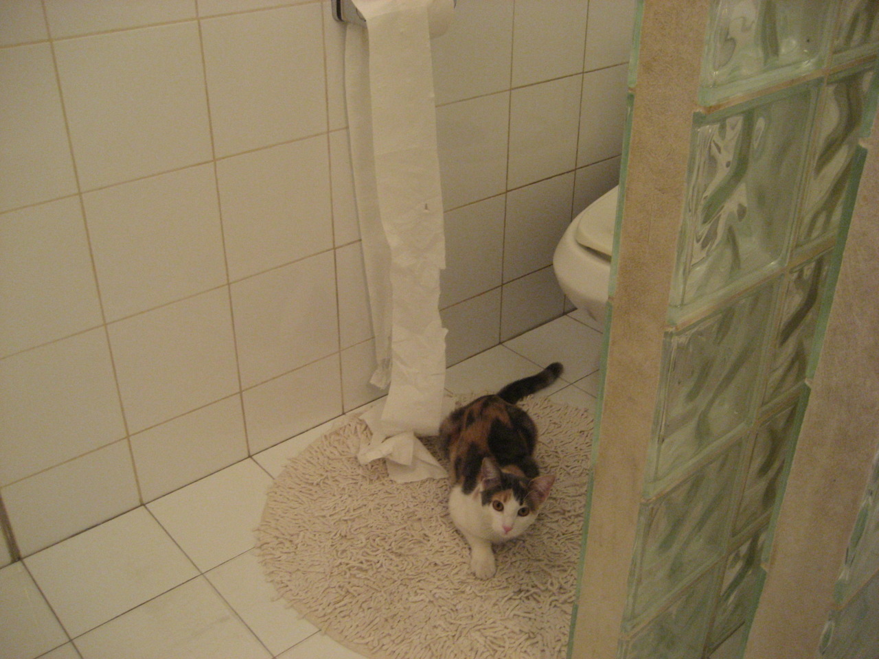 当东方黑马遇上天赋洪流，杰伦·格林三分钟熄灯浙江队