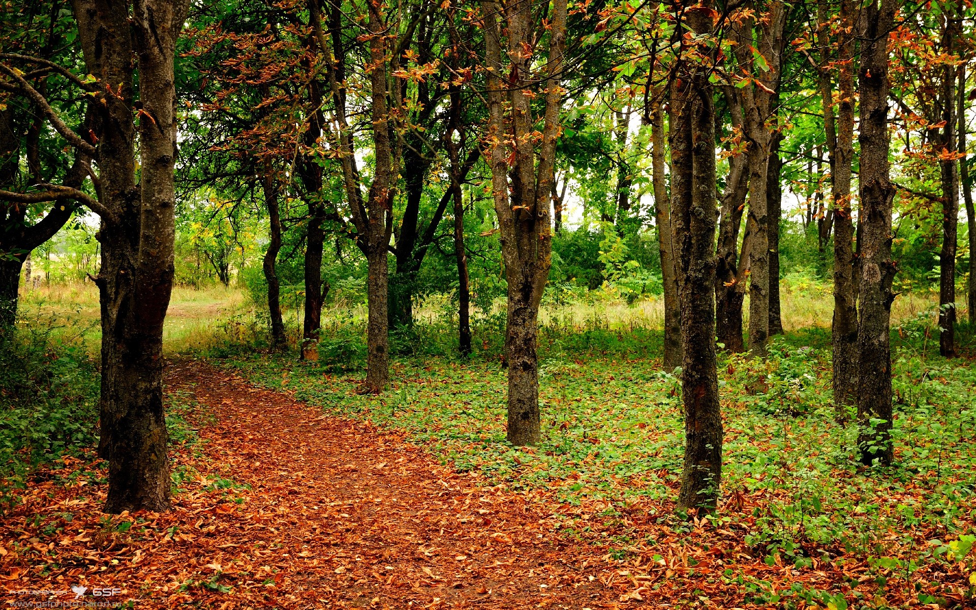 欧冠决赛焦点战，巴拉圭火力全开，连续得分压制比利亚雷亚尔