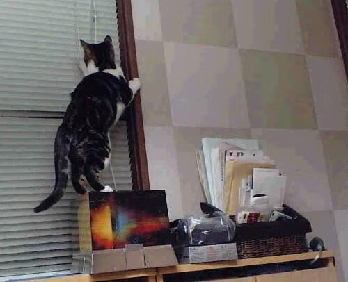 布鲁诺闪耀慕尼黑，当俱乐部的墙垒被祖国铁骑踏破，他选择为拜仁点燃传奇