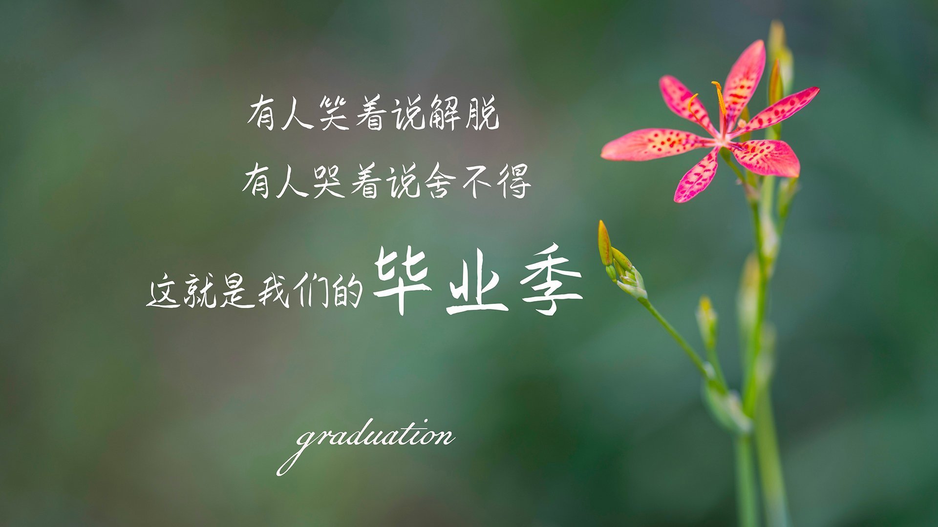 双星耀夜，当老鹰撕裂北京防线，拉文于亚平宁风暴中加冕