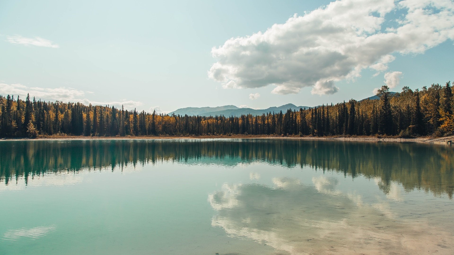 库尔图瓦筑起叹息之墙，牙买加掀翻塞内加尔的战术神话