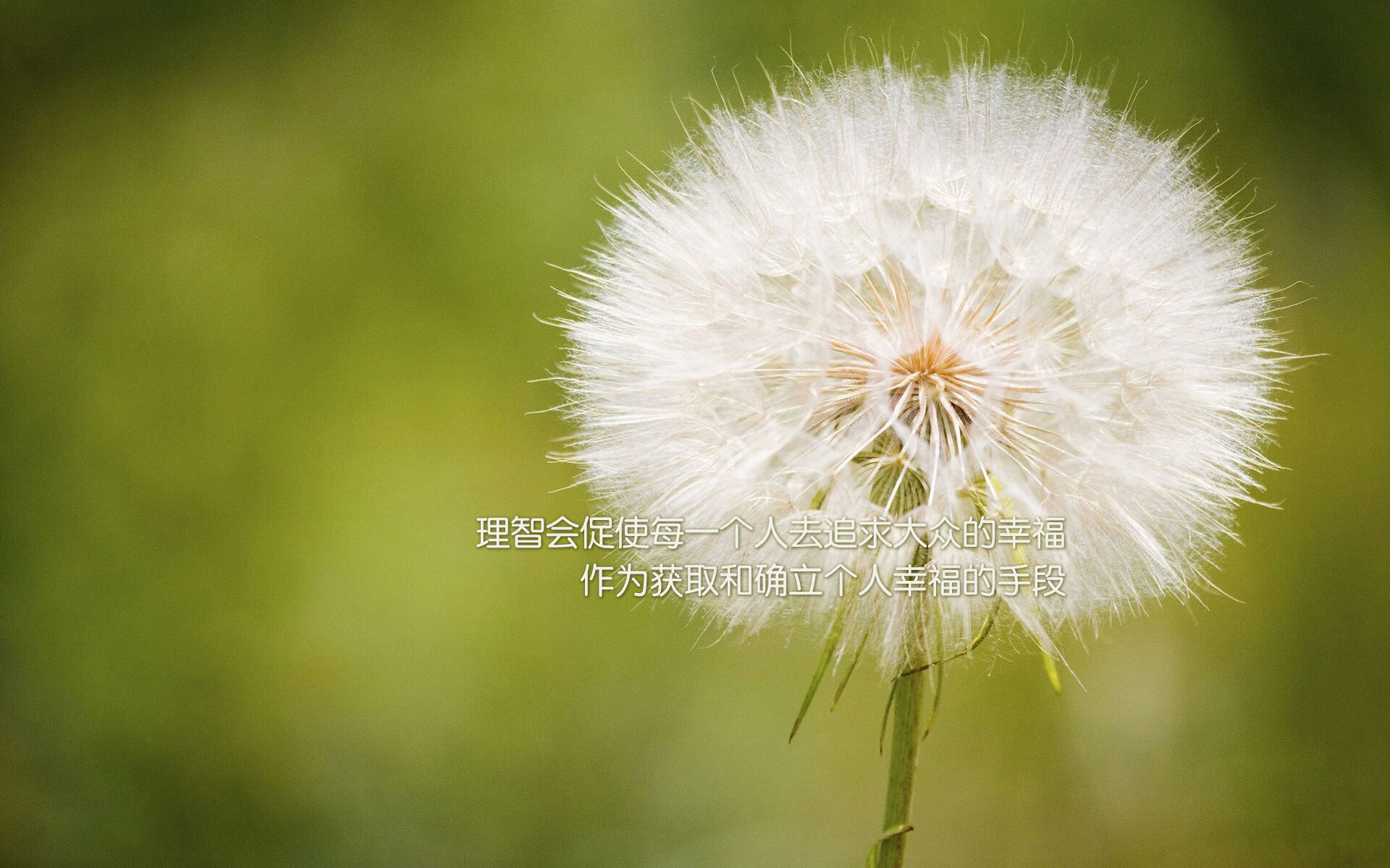 美国队强势晋级里昂,年轻王牌帕尔默成关键先生