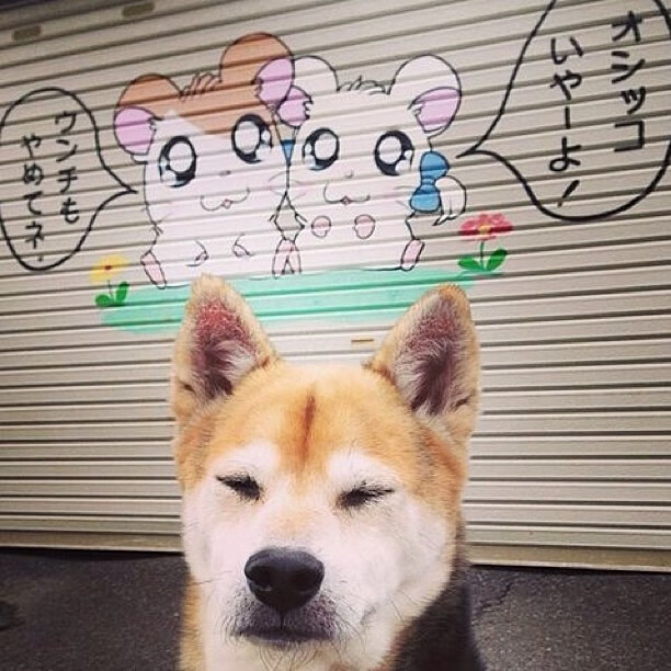 太阳对阵北京队，伦纳德展现巨星价值