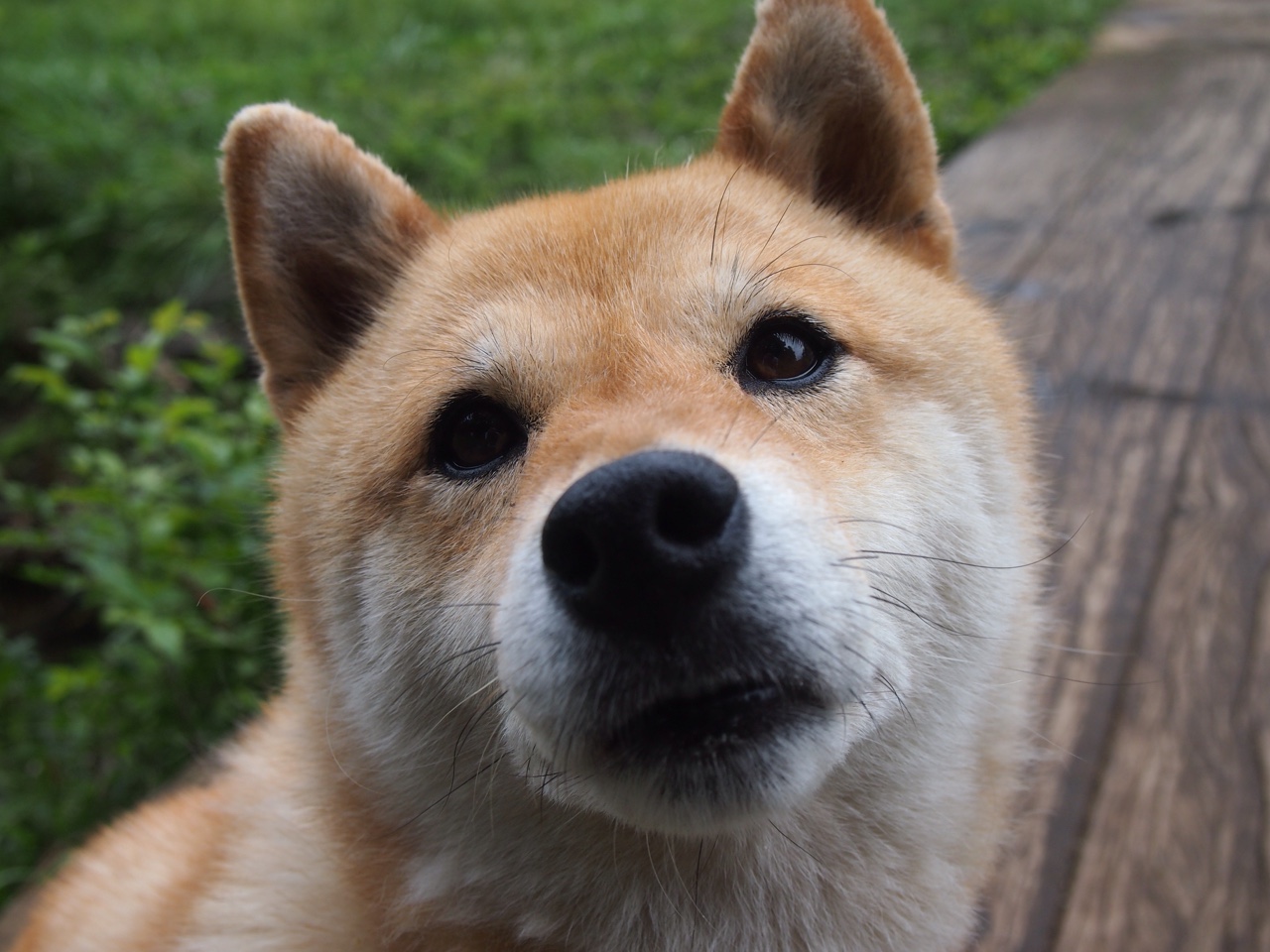 年度焦点之战，苏亚雷斯生涯之夜，神迹与涅槃的交响