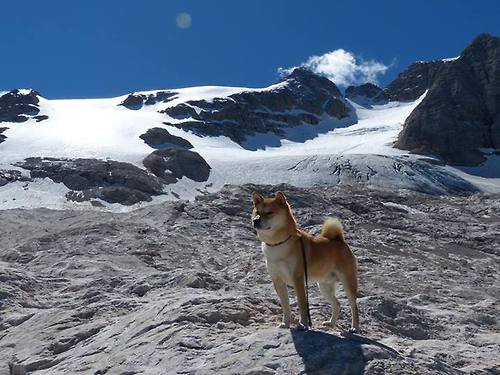 极限周日,引擎咆哮与绿茵狂舞—当F1街道赛的硝烟遇上米兰对尤文的血脉贲张