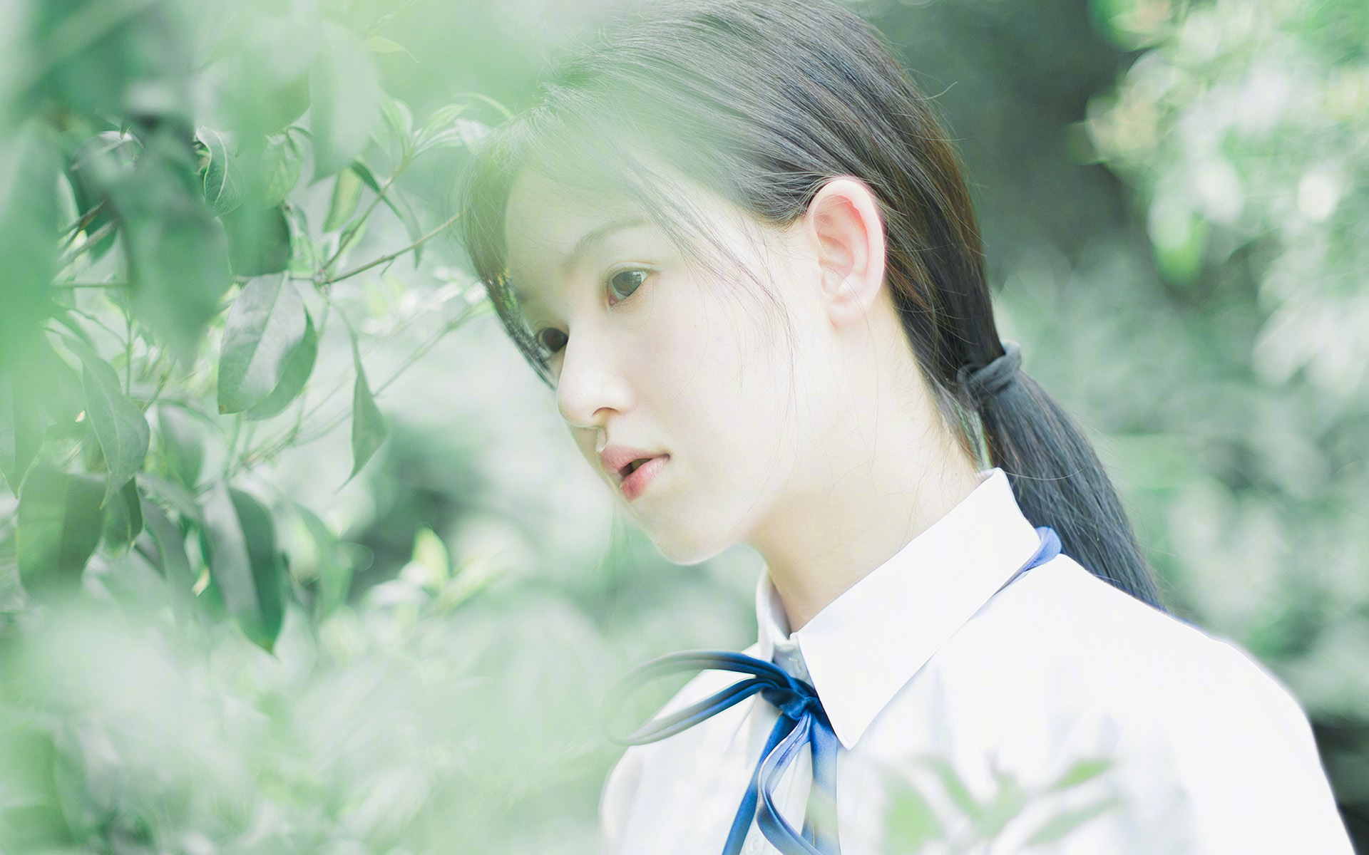 贝恩熄巨勇占席，昔日副手如何撕碎勇士王朝最后的骄傲？